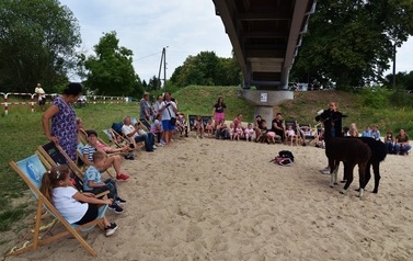 WOK_7983