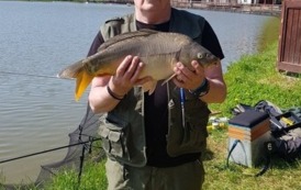 Cichy