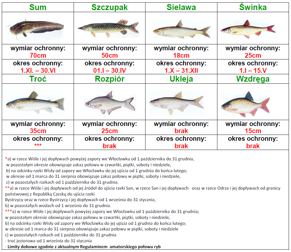 Ryby-wymiary-ochrona