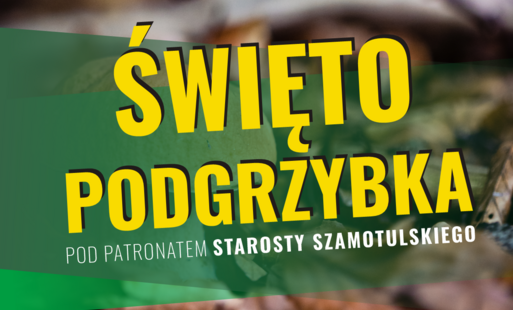 Zdjęcie do Zapraszamy na Święto Podgrzybka do Rzecina!